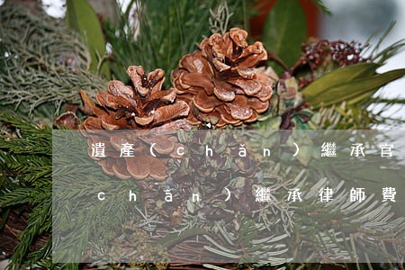 遺產(chǎn)繼承官司律師收費(遺產(chǎn)繼承律師費怎么收費)