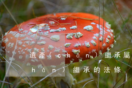 遺產(chǎn)繼承屬于什么法(遺產(chǎn)繼承的法條)