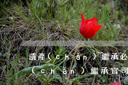 遺產(chǎn)繼承必須被告出庭嗎(遺產(chǎn)繼承官司原告需提供哪些證據(jù))