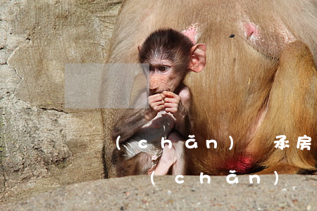 遺產(chǎn)繼承房子法院怎么強行過戶(遺產(chǎn)繼承已經(jīng)過戶后還能起訴)