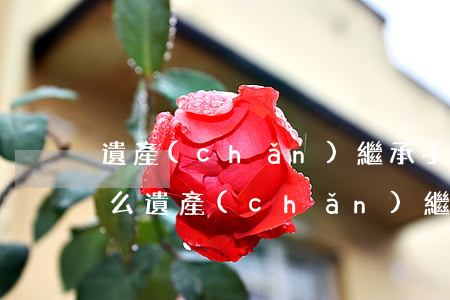 遺產(chǎn)繼承手續(xù)包含什么(遺產(chǎn)繼承手續(xù)包含什么)
