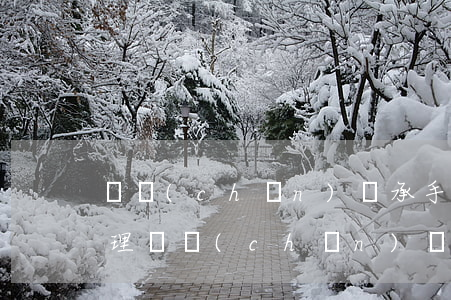 遺產(chǎn)繼承手續(xù)如何辦理(遺產(chǎn)繼承手續(xù)如何辦理)