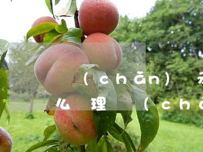 遺產(chǎn)繼承手續(xù)資料怎么辦理(遺產(chǎn)繼承立案材料)