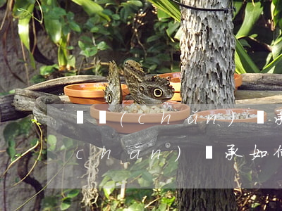 遺產(chǎn)繼承承諾書怎么寫(遺產(chǎn)繼承如何寫)
