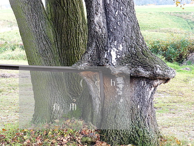 遺產(chǎn)繼承授權(quán)書有用嗎