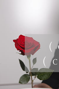 遺產(chǎn)繼承有人不簽字怎么辦(遺產(chǎn)繼承一方不簽字怎么辦)