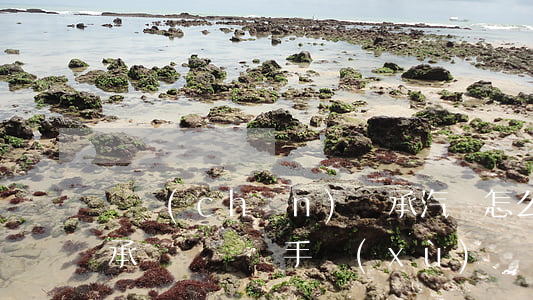 遺產(chǎn)繼承汽車怎么過戶(辦理繼承車輛過戶手續(xù))