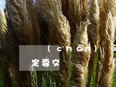 遺產(chǎn)繼承法最新規(guī)定要交稅錢嗎(遺產(chǎn)繼承稅是多少)
