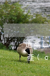 遺產(chǎn)繼承無糾紛證明怎么寫(遺產(chǎn)繼承協(xié)議書怎么寫有效)
