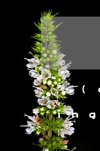 遺產(chǎn)繼承的民事起訴狀應(yīng)當(dāng)怎么寫(房產(chǎn)繼承民事起訴狀范文)