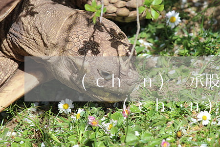 遺產(chǎn)繼承股權(quán)交稅嗎(遺產(chǎn)繼承要交稅嗎)