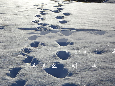 遺產(chǎn)繼承親屬關(guān)系怎么證明(繼承權(quán)親屬關(guān)系證明)