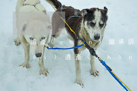 遺產(chǎn)繼承訴訟律師代理費(fèi)(遺產(chǎn)繼承訴訟律師費(fèi)是多少錢)