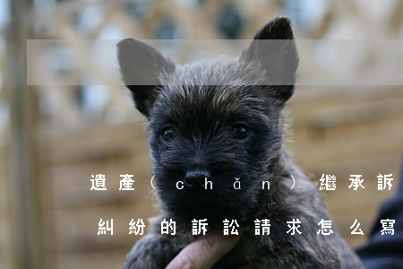 遺產(chǎn)繼承訴訟請求怎么寫(繼承糾紛的訴訟請求怎么寫)