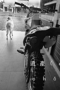 遺產(chǎn)繼承證明需要什么(遺產(chǎn)繼承證明需要什么)