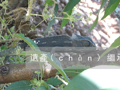 遺產(chǎn)繼承起訴書怎么寫