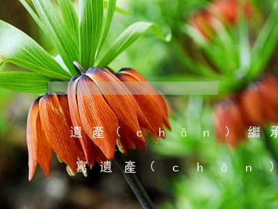 遺產(chǎn)繼承起訴狀沒有糾紛怎么寫(遺產(chǎn)起訴書)