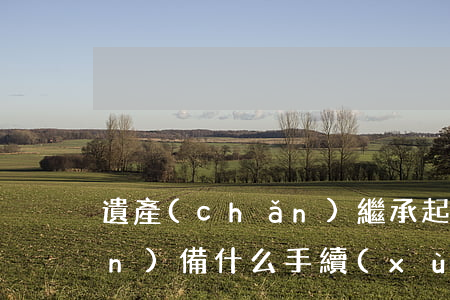 遺產(chǎn)繼承起訴需要準(zhǔn)備什么手續(xù)(房產(chǎn)遺產(chǎn)繼承要什么手續(xù))