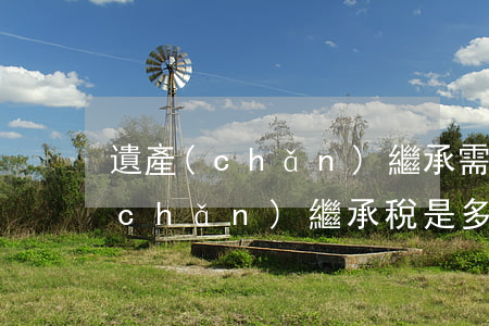 遺產(chǎn)繼承需要交什么稅(遺產(chǎn)繼承稅是多少)