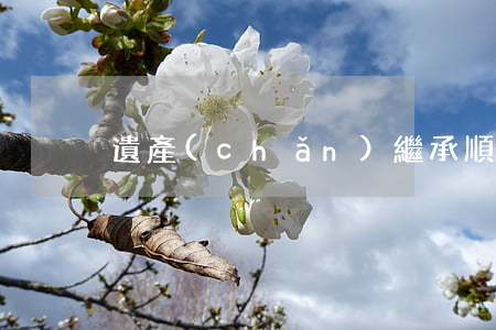 遺產(chǎn)繼承順序及比例份額多少