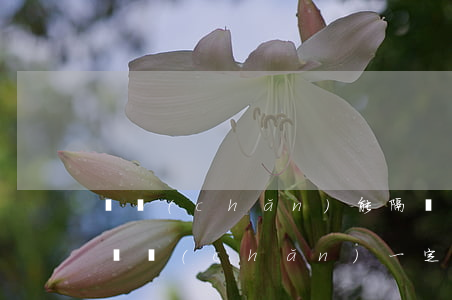 遺產(chǎn)能隔輩繼承嗎(有遺囑繼承遺產(chǎn)一定要兄弟姐妹都到場(chǎng)嗎)