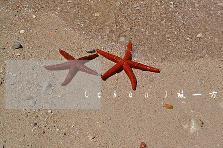 遺產(chǎn)被一方占有訴訟時效