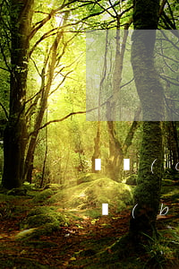 遺產(chǎn)訴訟律師收費(fèi)標(biāo)準(zhǔn)(遺產(chǎn)訴訟律師費(fèi)用怎么收)