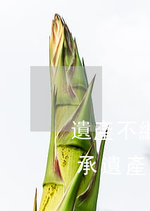 遺產不繼承會有什么問題(什么情況下可以繼承遺產)