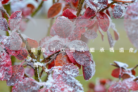遺產可以隔代繼承嗎(遺產兄弟姐妹有繼承權嗎)