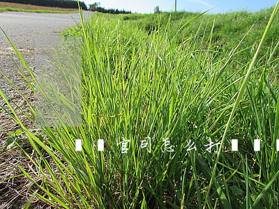 遺產官司怎么打(遺產糾紛怎么起訴)
