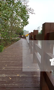 遺產官司開庭結束后多久判決