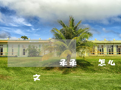 遺產繼承承諾書怎么寫(遺產繼承法律文書范文)
