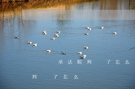 遺產繼承法院判決了怎么過戶(遺產繼承法院判決了怎么過戶)