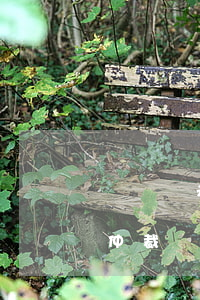 遺產繼承糾紛可以仲裁嗎(遺產繼承糾紛可以仲裁嗎)