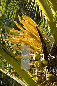遺贈和遺贈扶養(yǎng)協(xié)議有什么區(qū)別