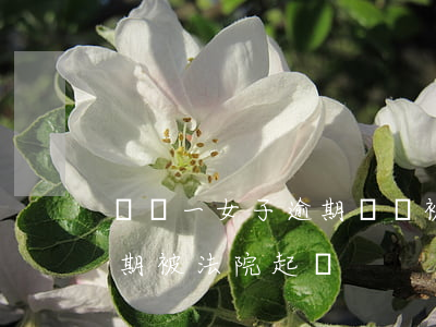 遼寧一女子逾期還貸被銀行起訴(銀行貸款逾期被法院起訴)