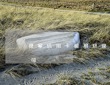 遼寧信用卡逾期修復費用(信用卡逾期修復公司)