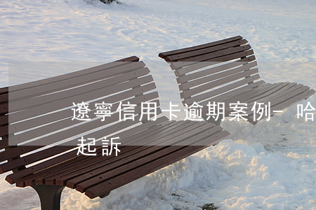 遼寧信用卡逾期案例-哈爾濱信用卡逾期要起訴