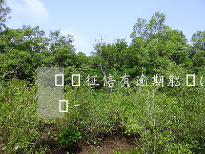 遼寧征信有逾期能當(dāng)人大代表嗎-