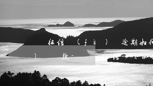 遼寧征信負(fù)債逾期如何規(guī)劃還款-遼寧征信網(wǎng)