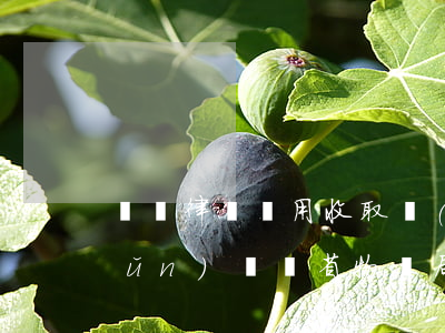 遼寧律師費用收取標(biāo)準(zhǔn)(遼寧省物價局關(guān)于律師收費標(biāo)準(zhǔn))
