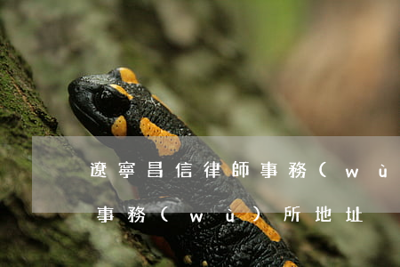 遼寧昌信律師事務(wù)所(遼寧昌信律師事務(wù)所地址)