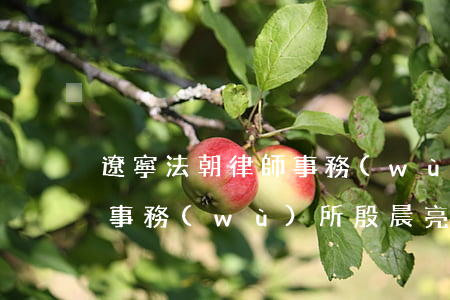 遼寧法朝律師事務(wù)所(遼寧法朝律師事務(wù)所殷晨亮)