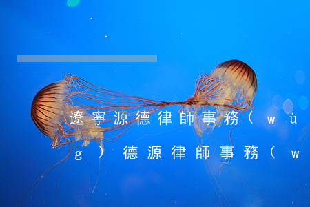 遼寧源德律師事務(wù)所(沈陽(yáng)德源律師事務(wù)所)