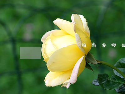 遼寧異地離婚需要哪些手續(xù)