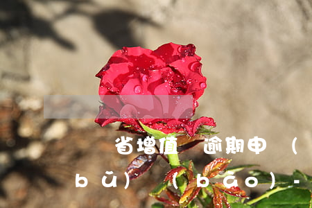 遼寧省增值稅逾期申報(bào)怎么補(bǔ)報(bào)-遼寧省增值稅逾期申報(bào)怎么補(bǔ)報(bào)的