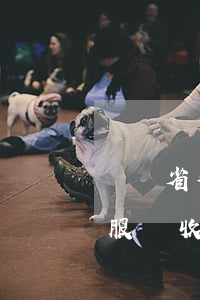 遼寧省律師代理費收取標準(遼寧省律師法律服務收費行業(yè)指導標準)