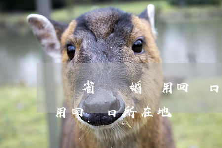 遼寧省辦離婚還用回戶口所在地嗎(離婚用不用回戶口所在地)