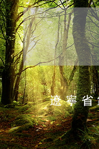 遼寧省鐵嶺市鐵嶺縣征地補償標準