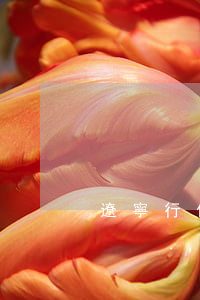 遼寧行仁律師事務(wù)所